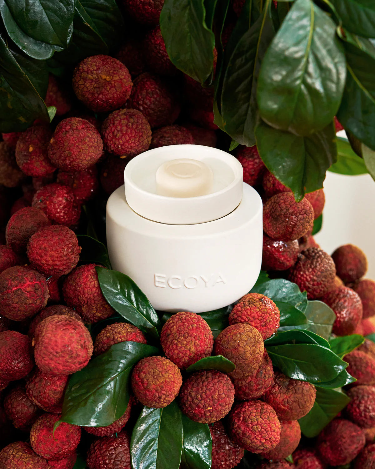Soy Wax Melts - Guava & Lychee Sorbet