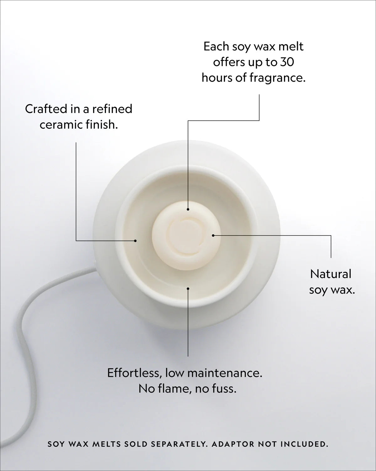 Electric Wax Melter
