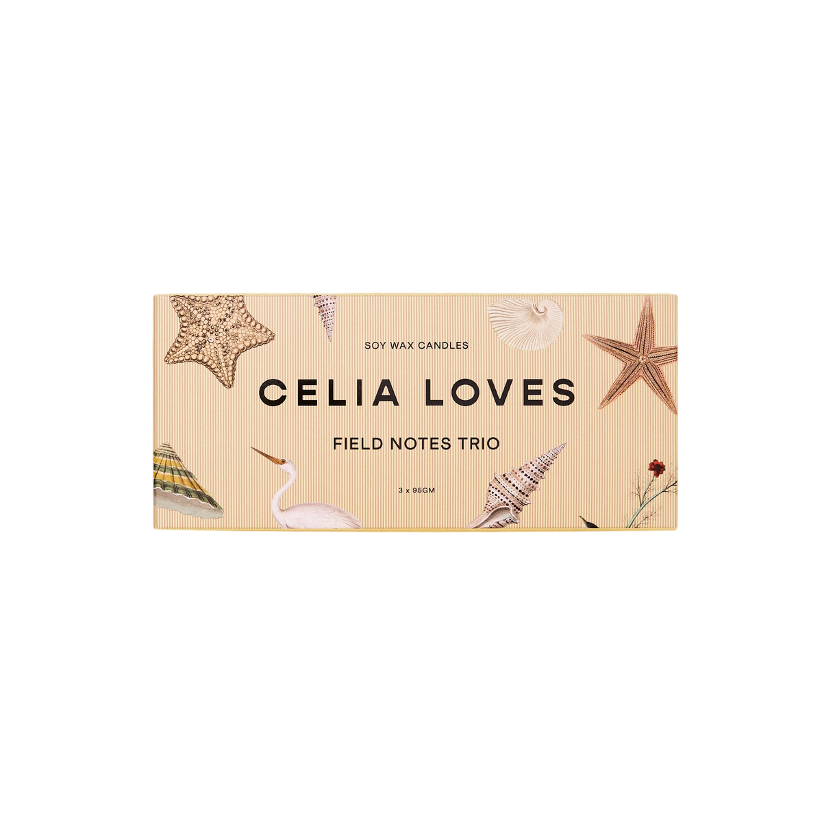 Candle Trio Set – Field Notes