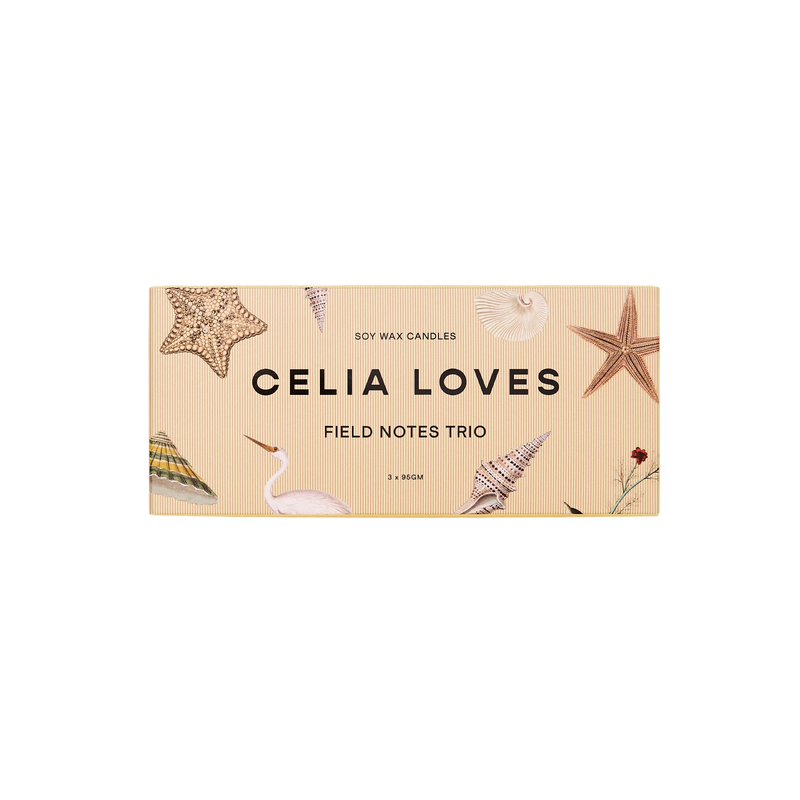 Candle Trio Set – Field Notes