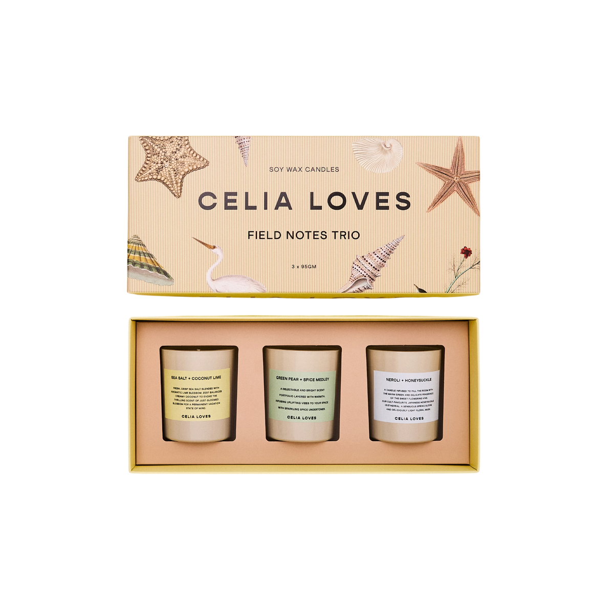 Candle Trio Set – Field Notes