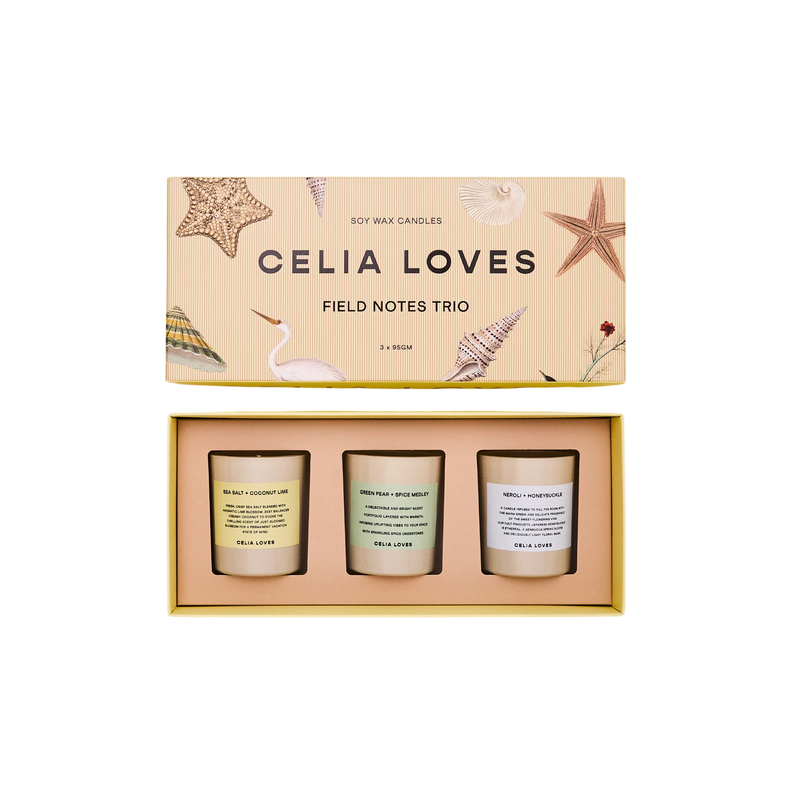 Candle Trio Set – Field Notes