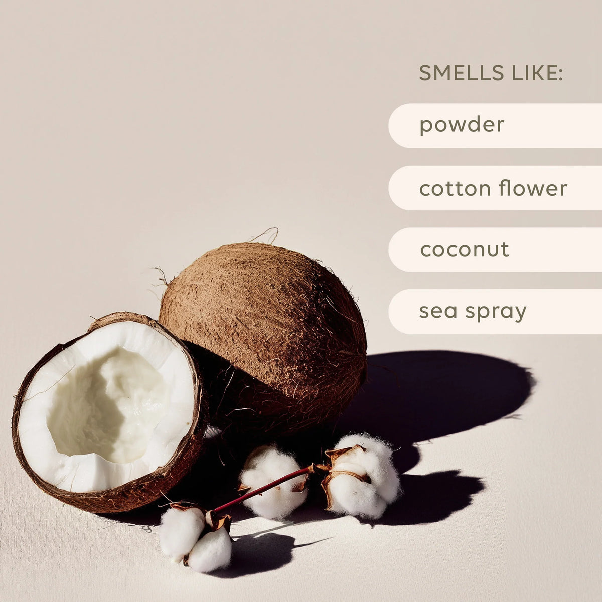 Reed Diffuser - Sea Cotton & Coconut