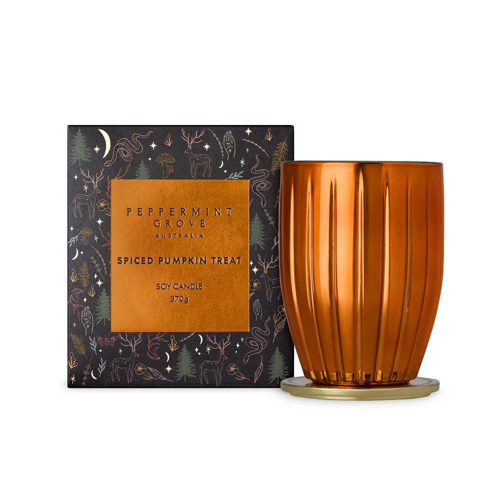 Spiced Pumpkin Treat | Candle 370g