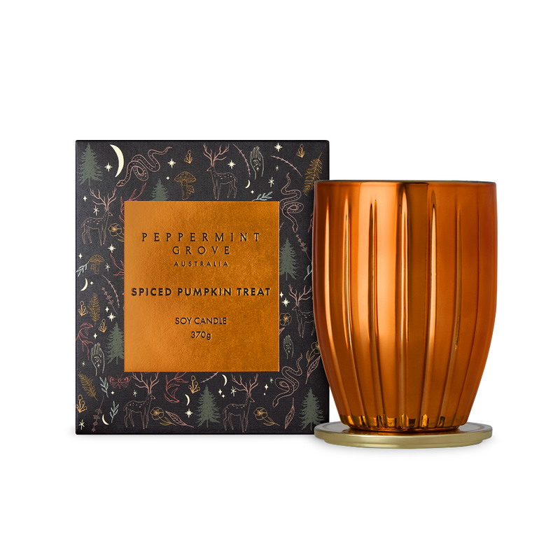 Spiced Pumpkin Treat | Candle 370g