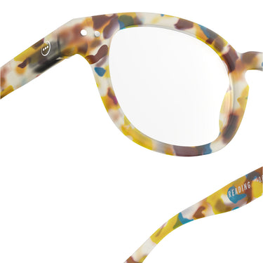 Reading Collection C - Blue Tortoise