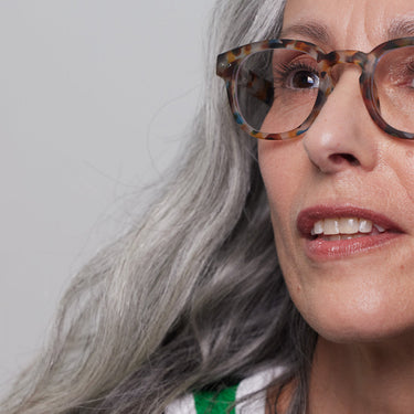 Reading Collection C - Blue Tortoise