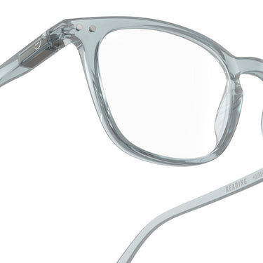 Reading Collection E - Frozen Blue