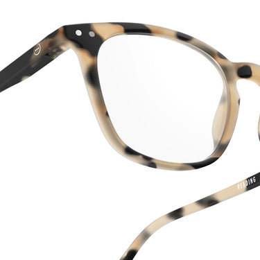 Reading Collection E - Light Tortoise