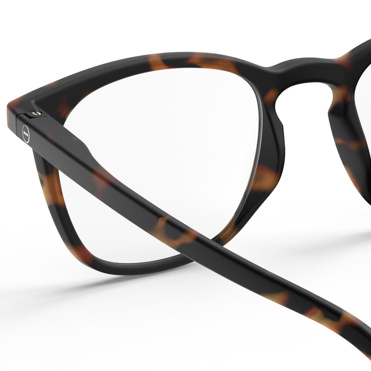 Reading Collection E - Tortoise