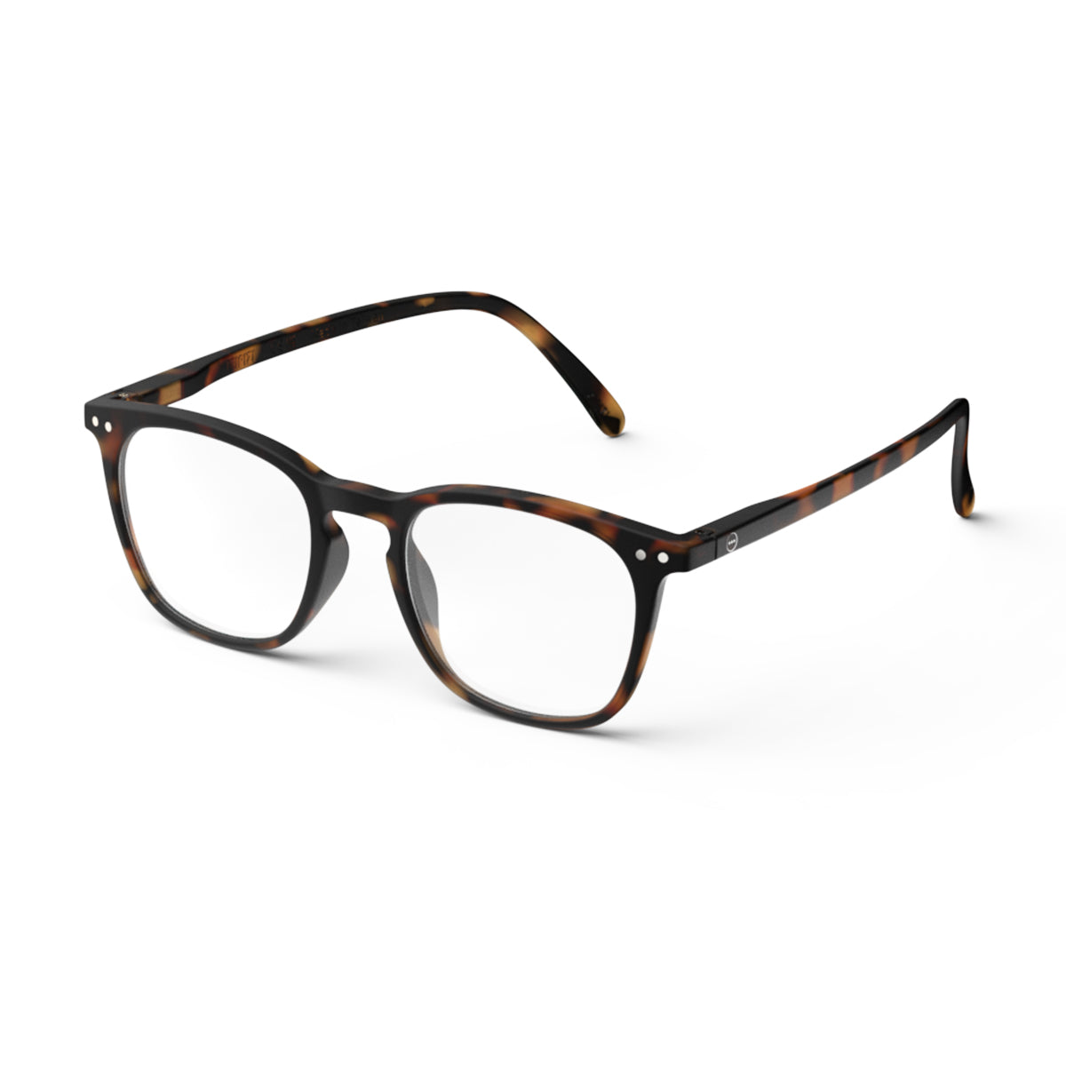 Reading Collection E - Tortoise