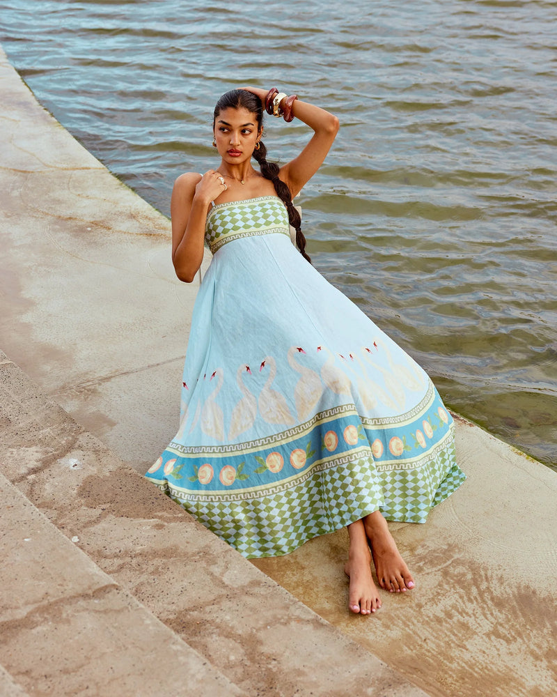 Swan Lake Maxi Dress