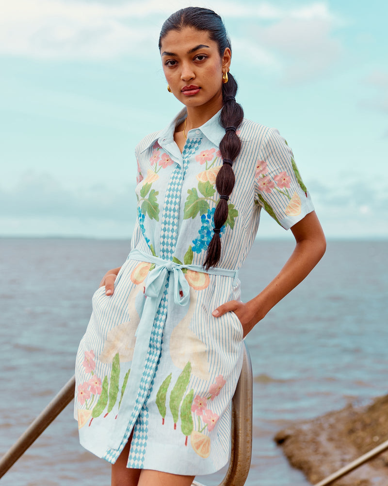 Swan Lake Mini Shirt Dress