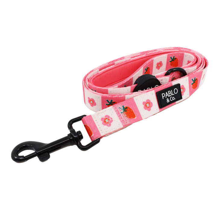 Strawberry Patch: Dog Leash: 2.5cm