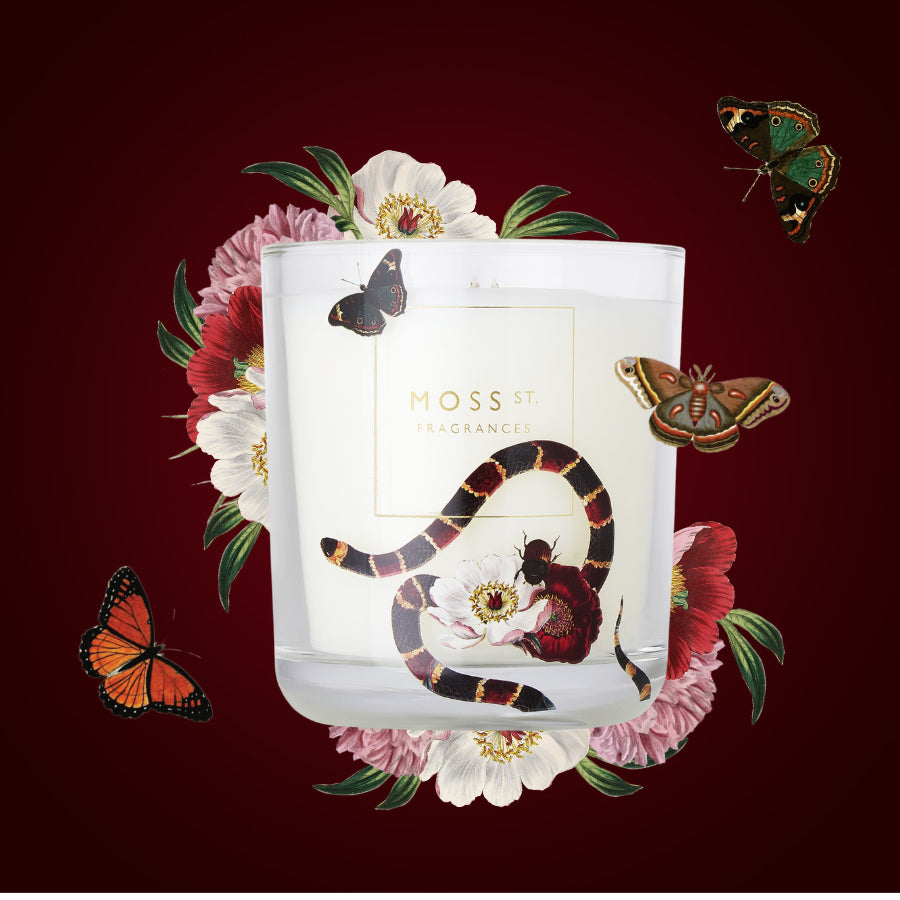 Black Cherry Noir | Moss St Candle 300g