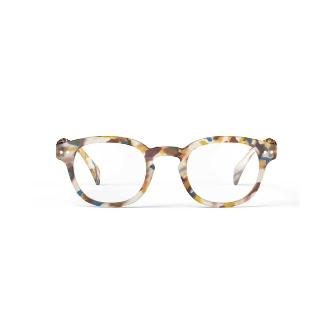 Reading Collection C - Blue Tortoise