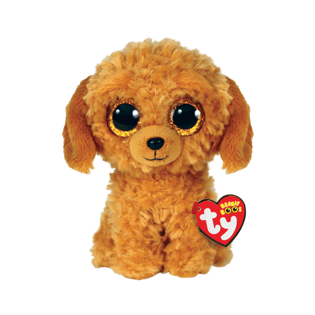 Noodles - Golden Dog Reg