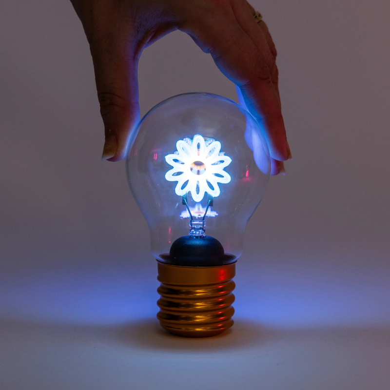 Daisy Lightbulb Lamp USB Recharge