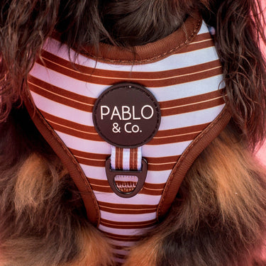Sunday Stripes: Adjustable Harness: Large