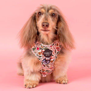 Farmers Market: Adjustable Harness: XS