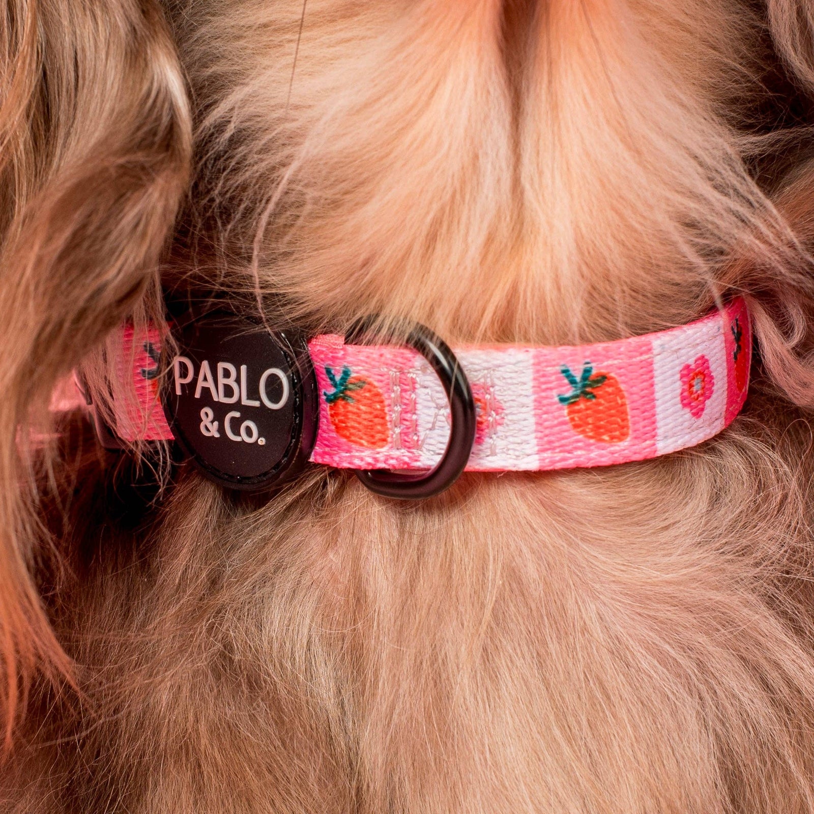 Strawberry Patch: Collar