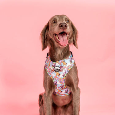 Up: Adjustable Harness: XS