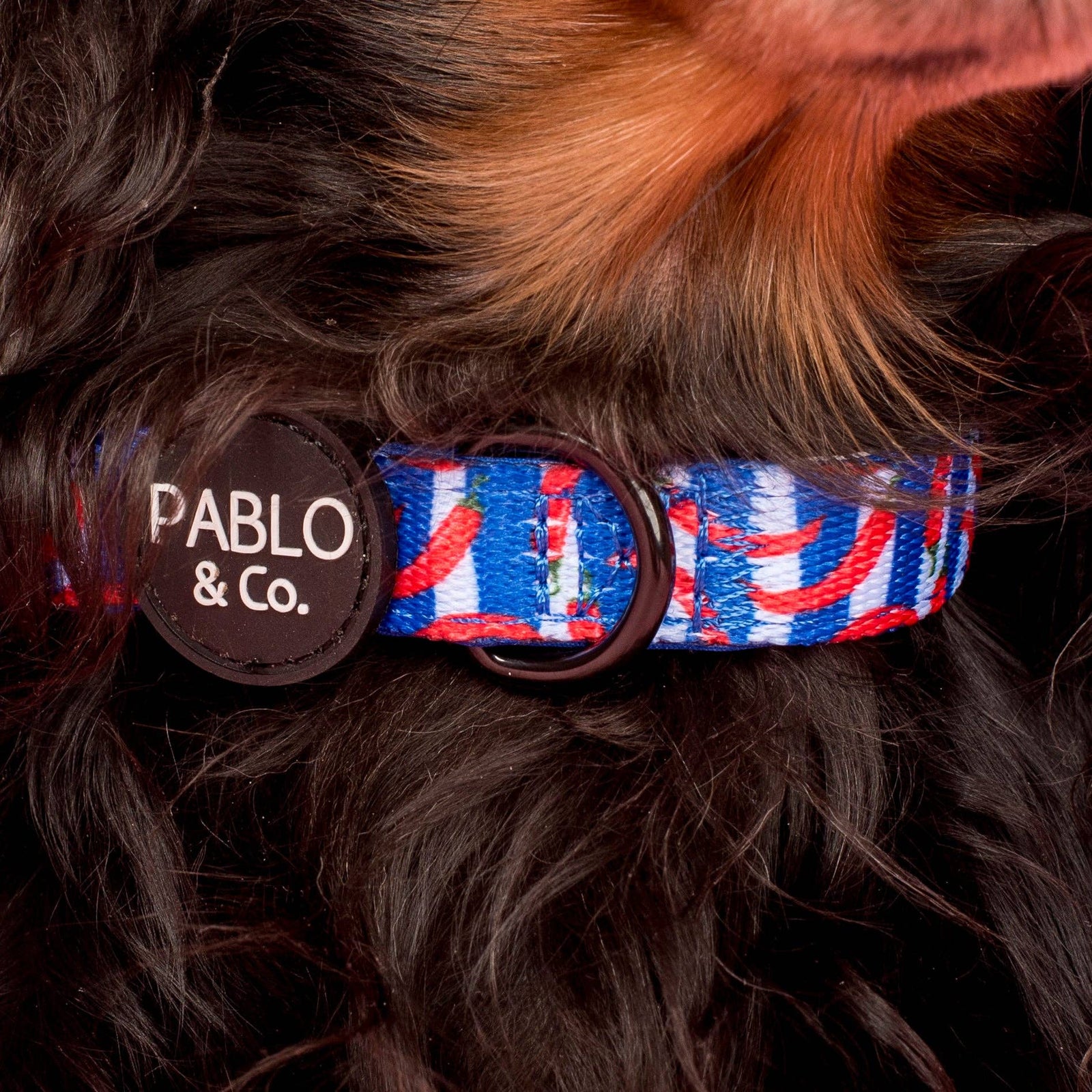Hot Chillies: Collar: XS