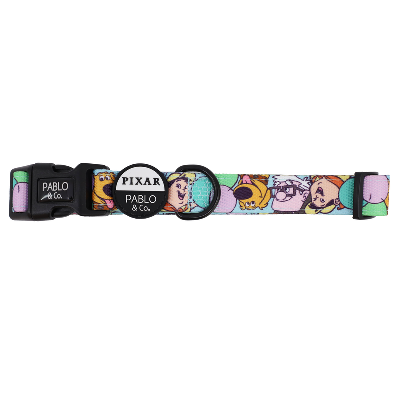 Up: Dog Collar