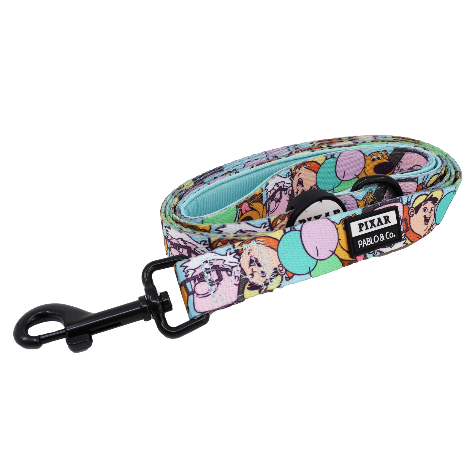 Up: Dog Leash: 2.5cm