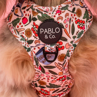 Farmers Market: Adjustable Harness: Medium