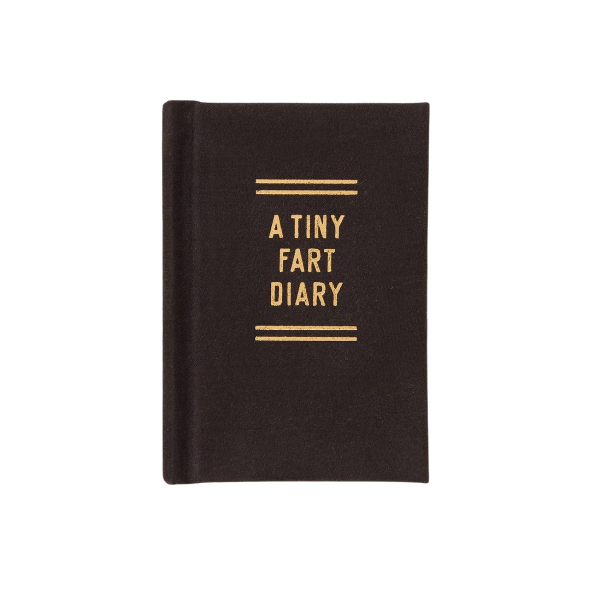 A Tiny Fart Diary