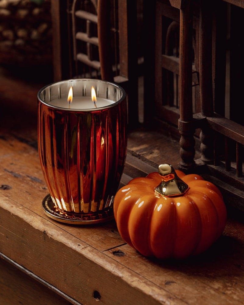 Spiced Pumpkin Treat | Candle 370g