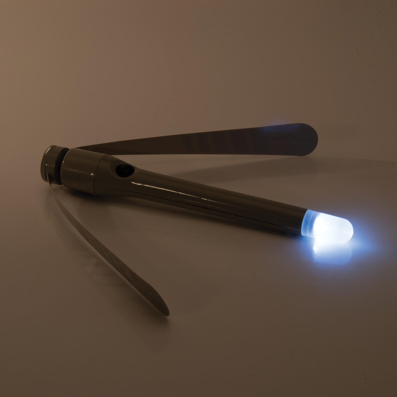 Bottle Light & Flying Insect Repeller