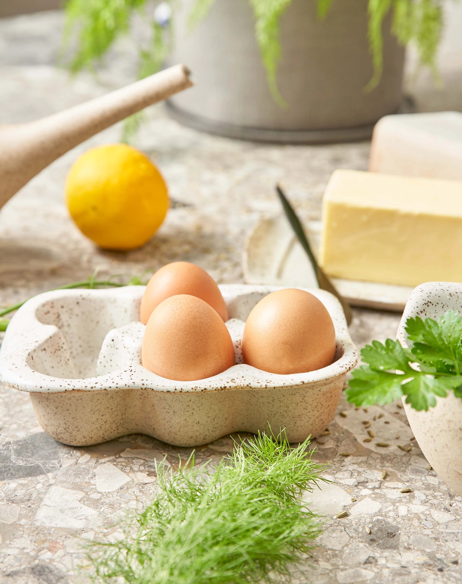 6 Egg Crate / Garden To Table