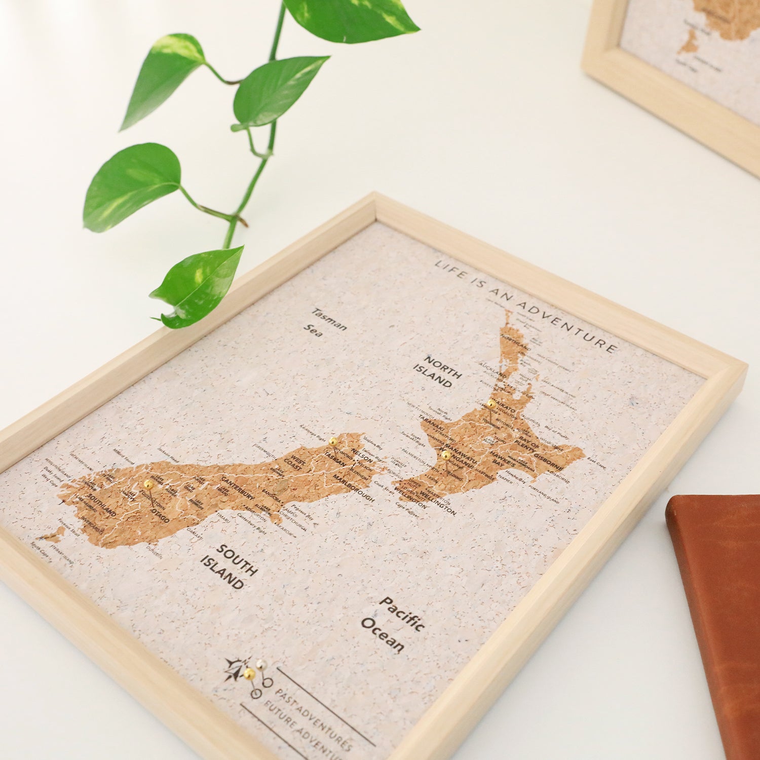 Travel Board New Zealand Map Small