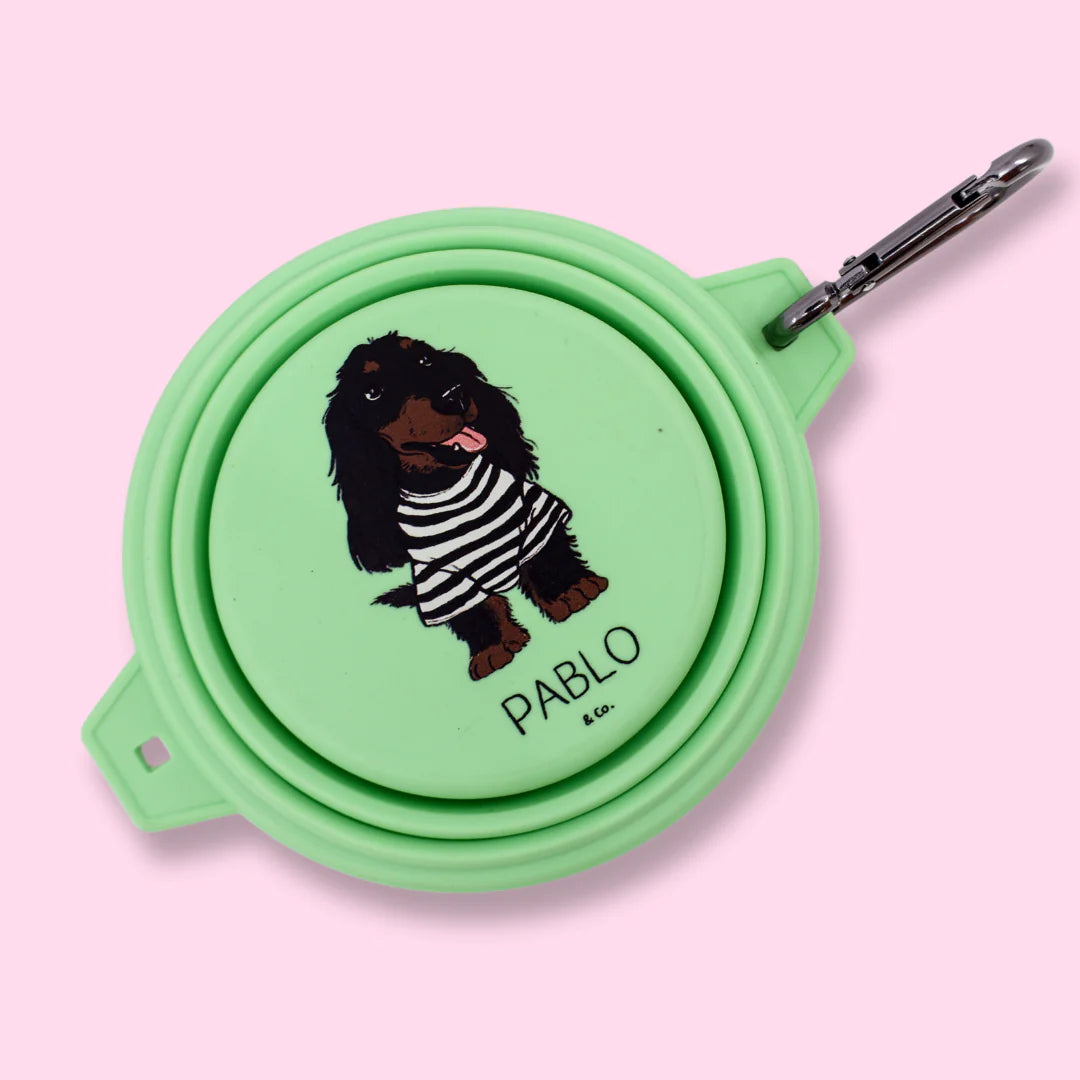 Collapsible Dog Water Bowl Louis Max collapsible-dog-water-bowl-louis-max