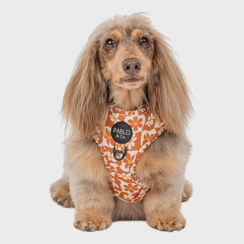 Retro Dazie: Adjustable Harness